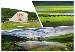 廣州到阿壩物流專線,專業(yè)運(yùn)輸廣州至阿壩貨運(yùn)公司